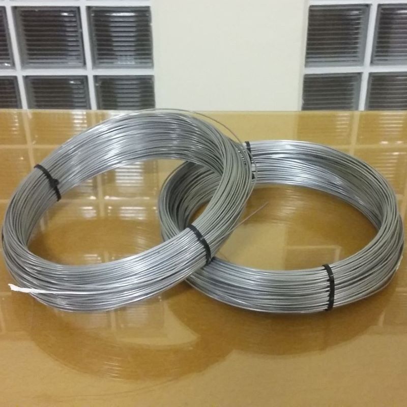 30AWG Kanthal A1 Coil Wire Resistance Wire Heating Wire Self Winding Accessory DIY Spool Wire 30-feet 